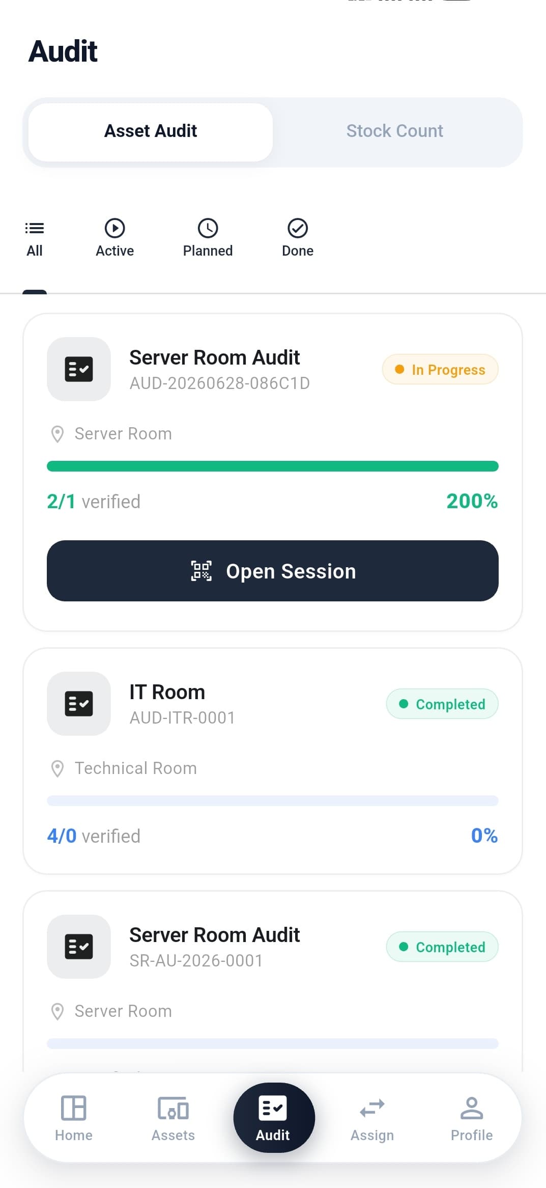 Audit portrait